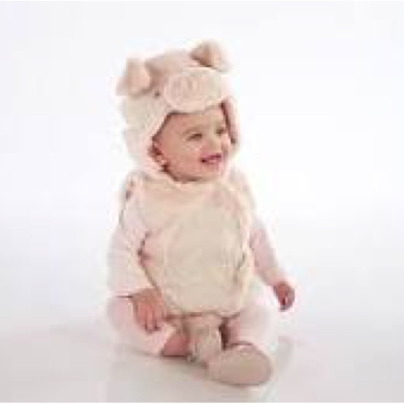 Pottery Barn Kids Other - Pottery Barn Kids Piggy Costume!!